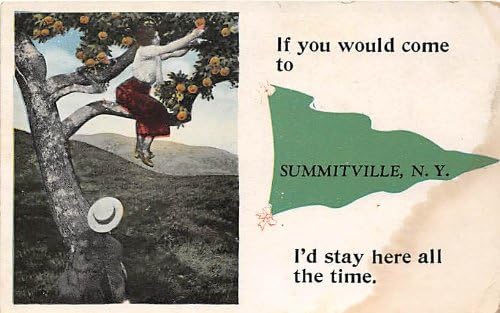 Summitville, New York-I Képeslap